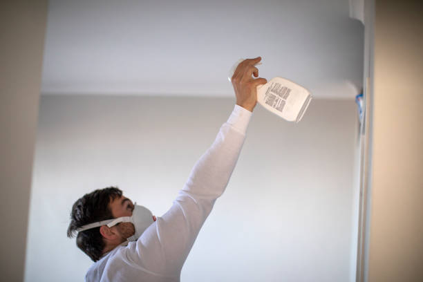 Best Mold Damage Repair  in Ak Chin Village, AZ