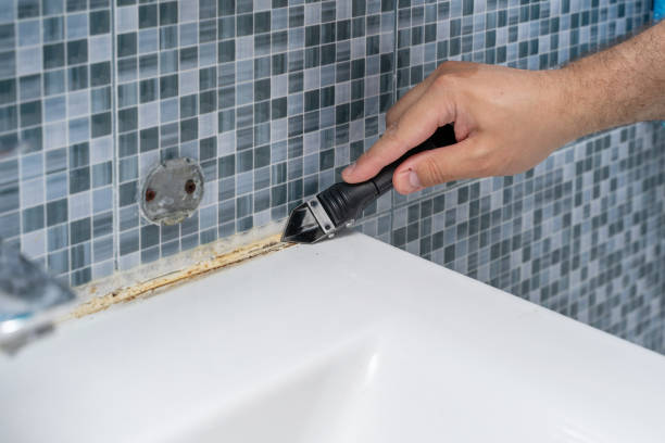 Best Certified Mold Removal  in Ak Chin Village, AZ